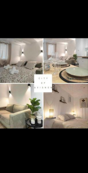 Appartement cosy centre historique Avignon